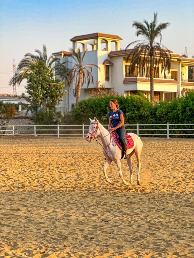 Sakkara Country Club Hotel Giza Eksteriør billede